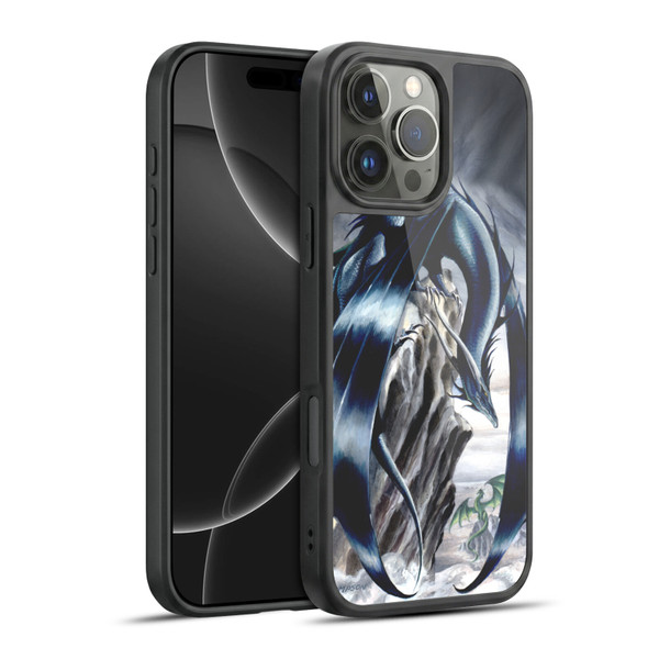 Ruth Thompson Dragons 2 Stormchaser Gel Armour Case For Apple iPhone 16 Pro Max