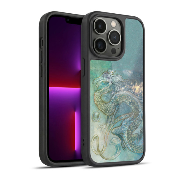 Stephanie Law Graphics Dragon Gel Armour Case For Apple iPhone 13 Pro
