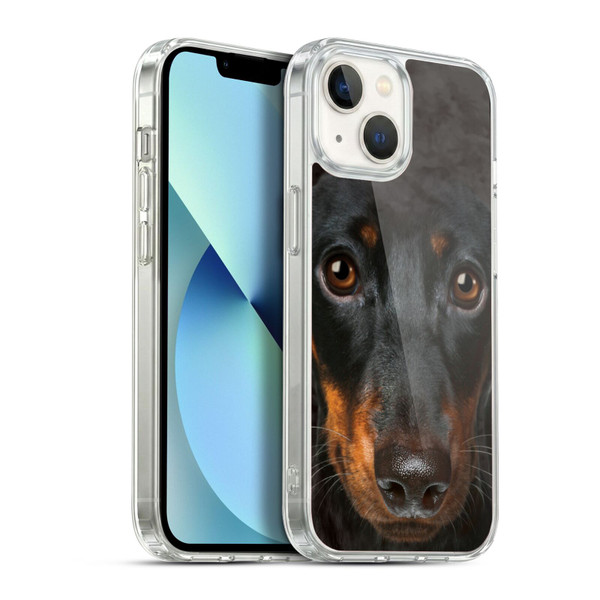 Vincent Hie Big Face Dogs Dachshund Soft Gel Case for Apple iPhone 13