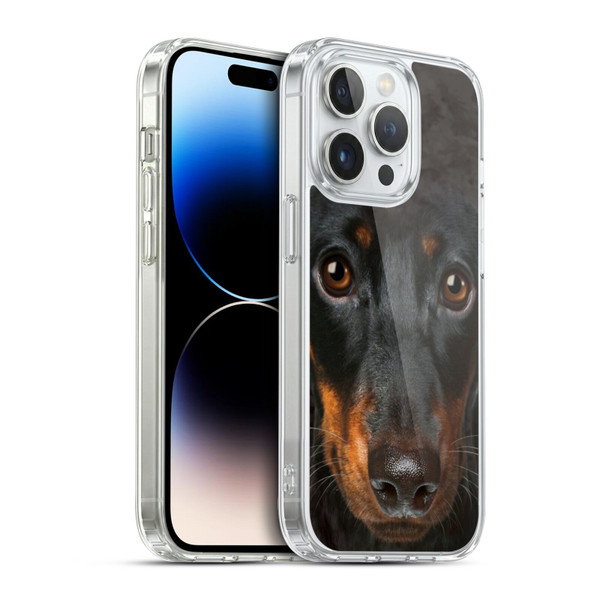 Vincent Hie Big Face Dogs Dachshund Soft Gel Case for Apple iPhone 14 Pro & MagSafe