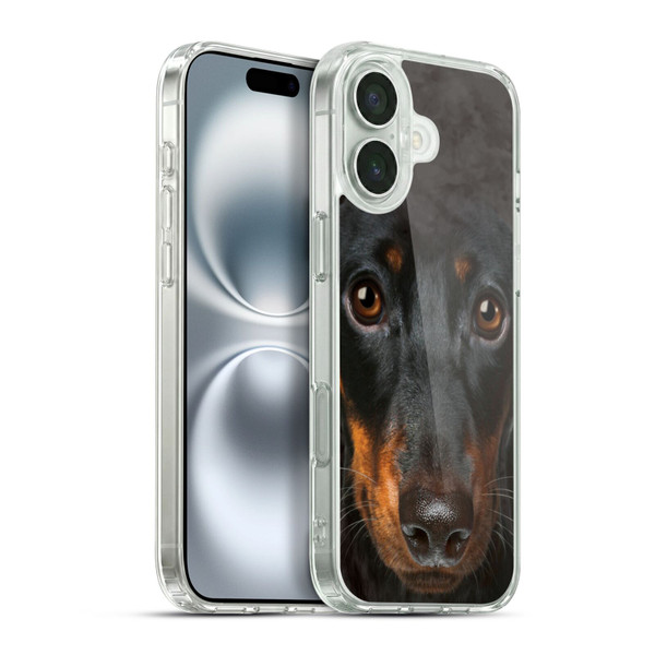 Vincent Hie Big Face Dogs Dachshund Soft Gel Case for Apple iPhone 16 Plus & MagSafe