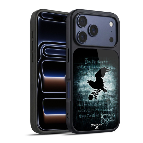 Alchemy Gothic Wing Nevermore Gel Armour Case For Apple iPhone 17 Pro