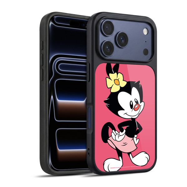 Animaniacs Graphics Dot Gel Armour Case For Apple iPhone 17 Pro
