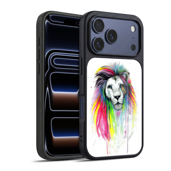 Pixie Cold Cats Rainbow Mane Gel Armour Case For Apple iPhone 17 Pro