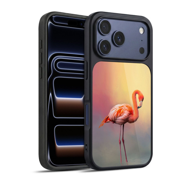 Simone Gatterwe Assorted Designs American Flamingo Gel Armour Case For Apple iPhone 17 Pro