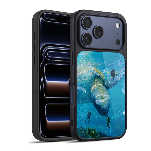 Dave Loblaw Sea Turtle Divers Gel Armour Case For Apple iPhone 17 Pro