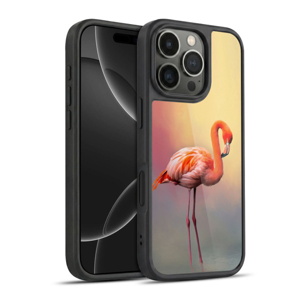 Simone Gatterwe Assorted Designs American Flamingo Gel Armour Case For Apple iPhone 16 Pro