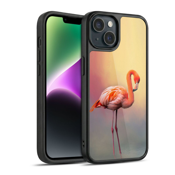 Simone Gatterwe Assorted Designs American Flamingo Gel Armour Case For Apple iPhone 14
