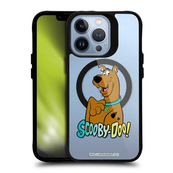 Scooby-Doo Character Art Pose BLACK SHOCKPROOF BUMPER CASE COMPATIBLE WITH Apple iPhone 13 Pro & MAGSAFE