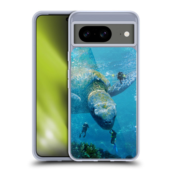 Dave Loblaw Sea Turtle Divers Soft Gel Case for Google Pixel 8