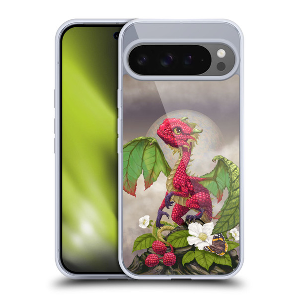 Stanley Morrison Dragons 3 Raspberry Garden Soft Gel Case for Google Pixel 9 Pro XL