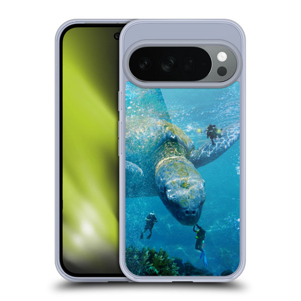 Dave Loblaw Sea Turtle Divers Soft Gel Case for Google Pixel 10