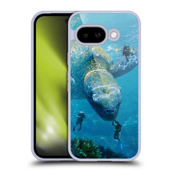 Dave Loblaw Sea Turtle Divers Soft Gel Case for Google Pixel 9A