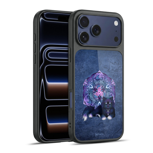 Brigid Ashwood Celtic Black Cat Gel Armour Case For Apple iPhone 17 Pro Max