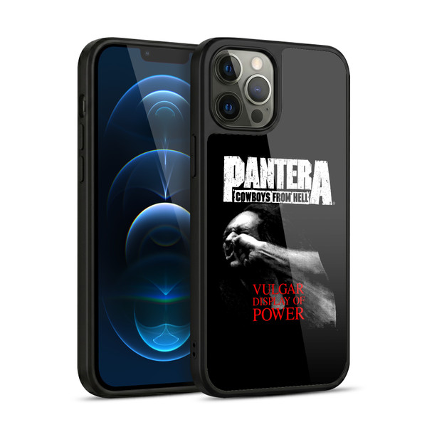 Pantera Art Vulgar Gel Armour Case For Apple iPhone 12 Pro Max