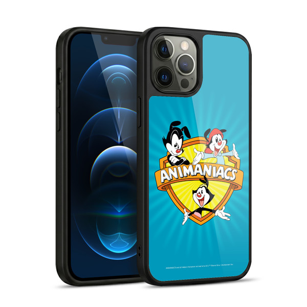 Animaniacs Graphics Logo Gel Armour Case For Apple iPhone 12 Pro Max