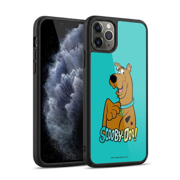 Scooby-Doo Scooby Scoob Gel Armour Case For Apple iPhone 11 Pro Max