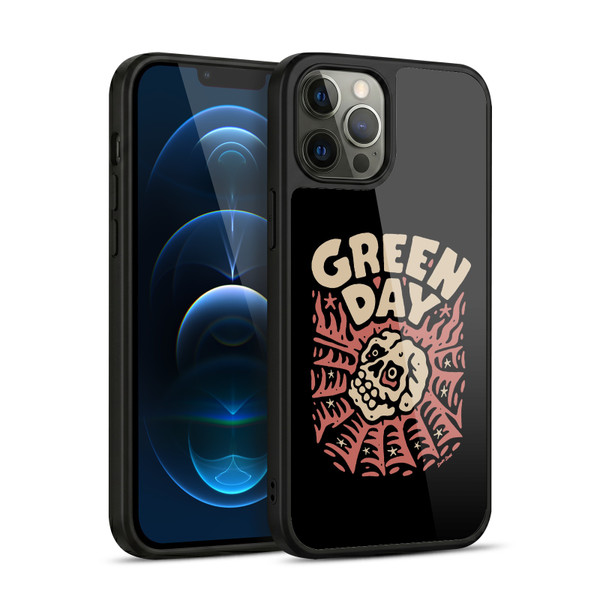 Green Day Graphics Skull Spider Gel Armour Case For Apple iPhone 12 Pro Max