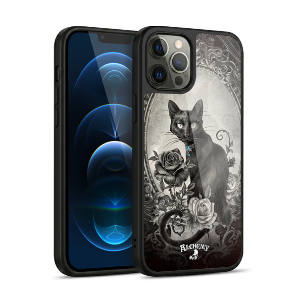 Alchemy Gothic Cats Paracelsus Gel Armour Case For Apple iPhone 12 Pro Max