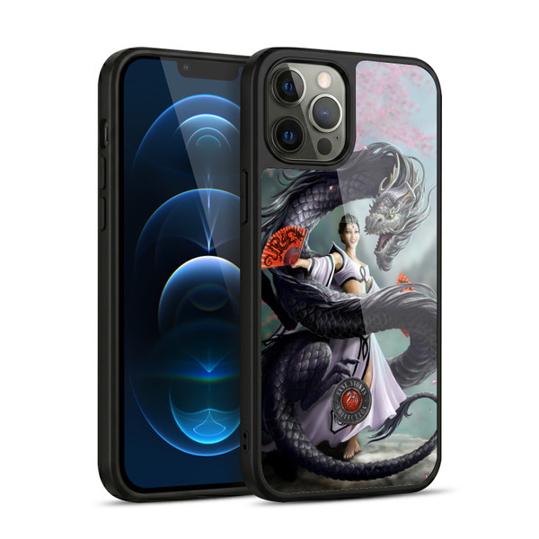 Anne Stokes Dragons 3 Dancer Gel Armour Case For Apple iPhone 12 Pro Max