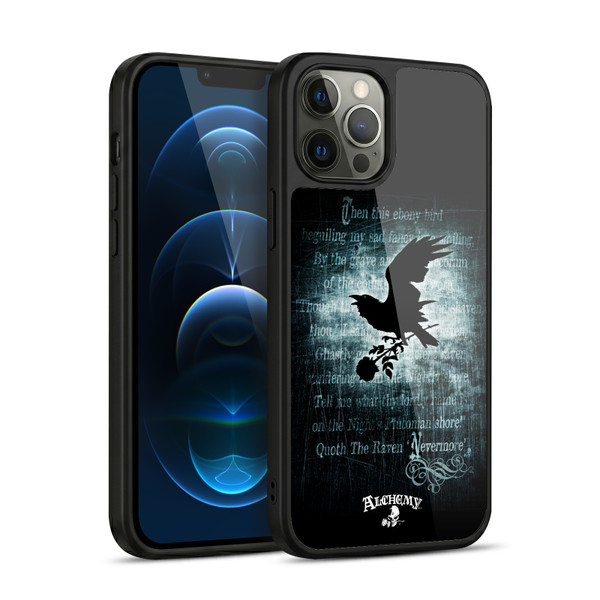 Alchemy Gothic Wing Nevermore Gel Armour Case For Apple iPhone 12 Pro Max