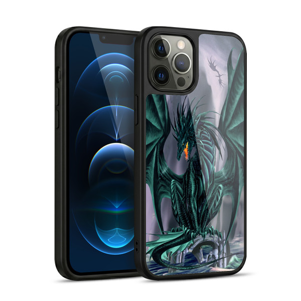 Ruth Thompson Dragons Jade Gel Armour Case For Apple iPhone 12 Pro Max