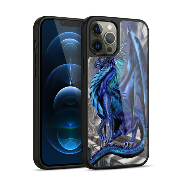Ruth Thompson Dragons Nightfall Gel Armour Case For Apple iPhone 12 Pro Max
