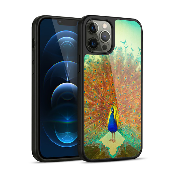 Duirwaigh Animals Peacock Gel Armour Case For Apple iPhone 12 Pro Max