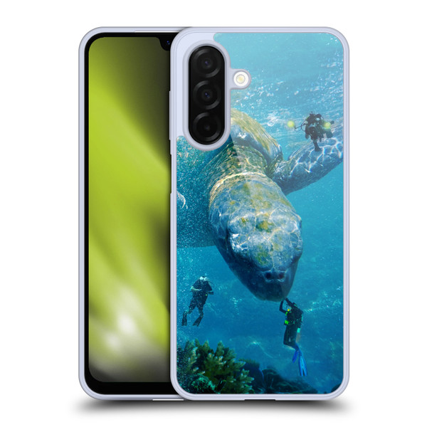 Dave Loblaw Sea Turtle Divers Soft Gel Case for Samsung Galaxy A26 5G