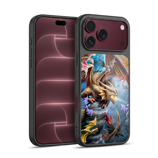 Anne Stokes Dragons 4 Clan Gel Armour Case For Apple iPhone 18 Pro Max