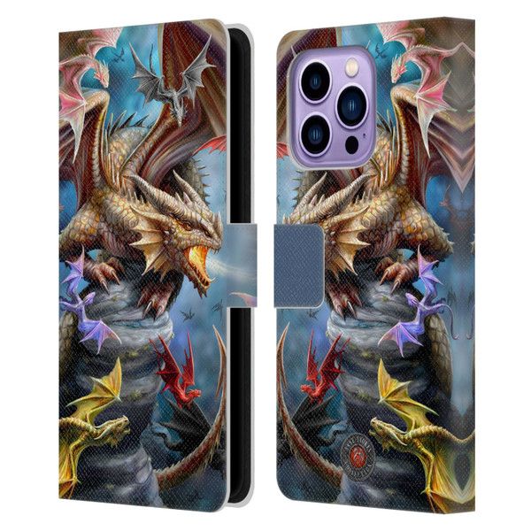 Anne Stokes Dragons 4 Clan Leather Book Wallet Case Cover For Apple iPhone 14 Pro Max
