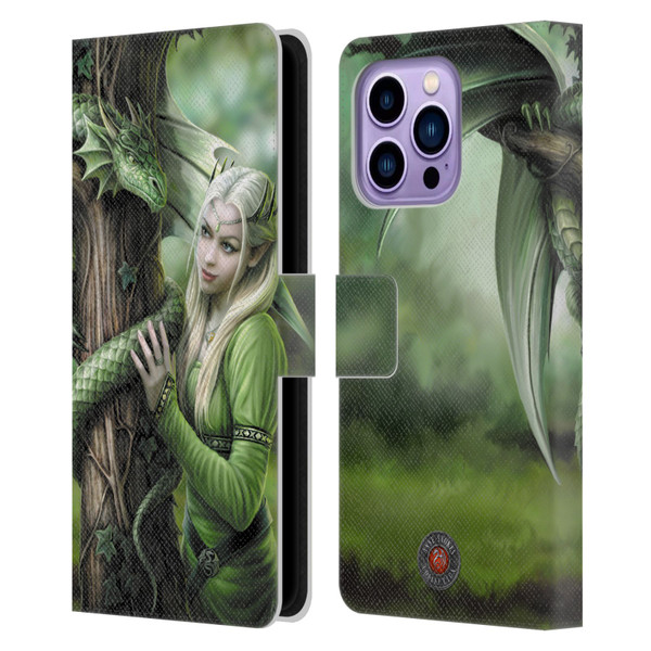 Anne Stokes Dragon Friendship Kindred Spirits Leather Book Wallet Case Cover For Apple iPhone 14 Pro Max