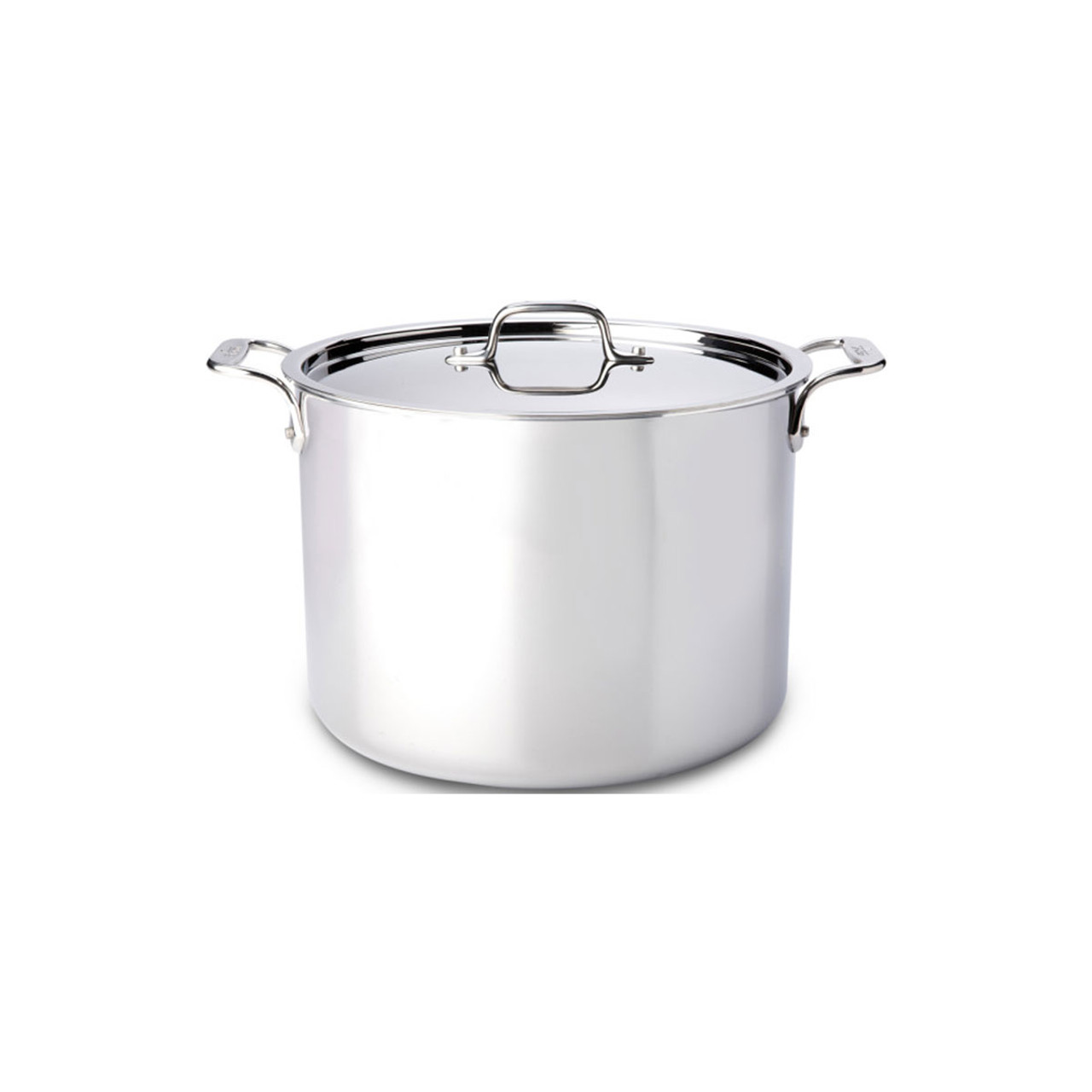 All-Clad Stainless Steel Multi-Cooker - 12 qt