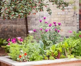 Earth Day, Every Day~ 