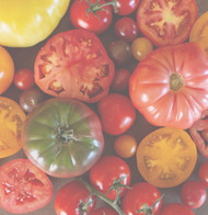 Heirloom Tomatoes