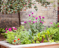 Earth Day, Every Day~ 