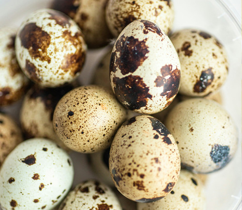 An Evening with Crow River Quail | January 22 | St. Paul | 6 PM