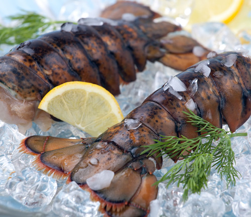Lobster Tail - February