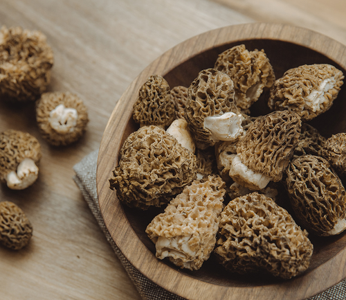 Morels - May