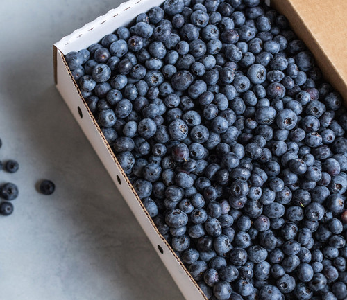 Blueberries - July