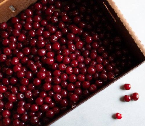 Tart Cherries - July