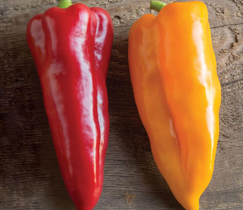 Sweet Peppers - September