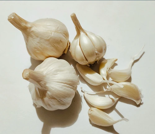 Fresh Garlic - November