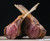 Rack of Lamb - Easter Special