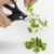 Kyocera Ceramic Scissors