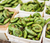 Fiddlehead Ferns - May