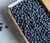 Blueberries - July
