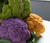 Colorful Cauliflower - October