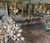 a whole barn of delicious drying garlic