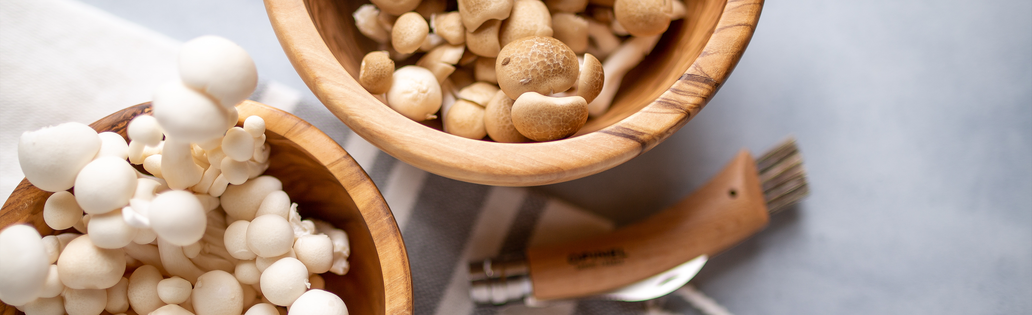 cropshare-mushroom-banner.png